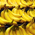 研究顯示:吃香蕉讓中風死亡機率大降４０％！原來香蕉要這樣吃才能發揮最好的效果!!一定要學起來...
