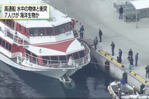 遭不明海洋生物衝撞 日本高速客船7乘客受傷