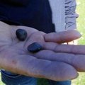 土耳其村民找到這種「石頭」碎片，竟然一夜暴富… 全村收入超100萬歐元