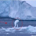 學者在南極拍到長達30公尺高的＂詭異白色巨型生物＂！牠全身雪白更有著凶惡的血盆大口...