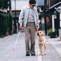 一位盲人及導盲犬的故事，說明了一個道理：無聲的尊重...