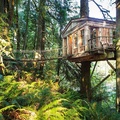 世界上最特別的20間樹屋，它們的存在就是世間最美的童話。