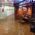 強者爺爺在颱風淹水時仍「淡定坐在星巴克喝咖啡看報紙」