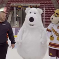 「北極熊」拍廣告 爆笑畫面害我的嘴角整個失控！