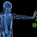 禁食2天可重啟免疫系統 —— 美國科學家驚人發現！