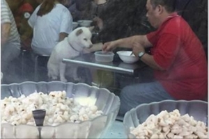 店員看到男子帶狗來吃冰，要幫牠裝一碗卻被拒！但是接下來出現的「超浪漫放閃場景」把大家的心都融化了...