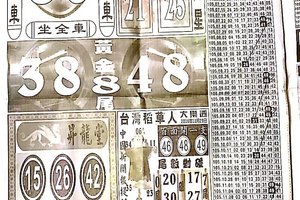 11/29  中國新聞報-大樂透參考