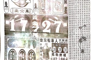 12/30  中國新聞報-大樂透參考