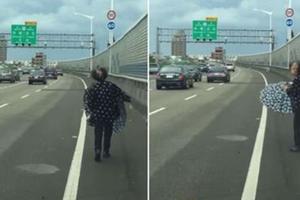 這位失智阿嬤誤闖高速公路走在路肩上，後方駕駛「這樣護送」她等到警察來才離去！