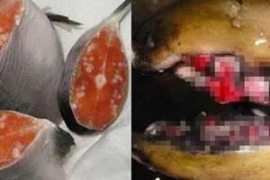 日本恐怖輻射製造出「恐怖核災鮭魚」全是白色增生組織跟腫瘤，容易引發這3種癌症！