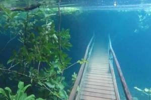 【視頻】美到窒息！　浸在水中的巴西生態區步道　意外成為全世界讚嘆的景點