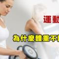 運動減肥初期，體重不降反升？原因是這樣