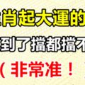 十二生肖起大運的年齡，福氣到了擋都擋不住！