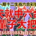 第二十一期十二生肖六合彩號碼組合！今天就中六合彩，一輩子大把錢。留言6688988為自己添財運！