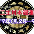 十二生肖本週運勢2017年(8.28—9.3)