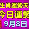 十二生肖運勢天天看，今日運勢：9月8日