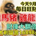 今天9月11日：每日旺財提示：狗猴馬豬，雞龍蛇羊。財庫大翻倍！大吉大利留言16898必轉！