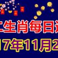 獨家十二生肖每日運勢2017年11月20日；旺運食物幸運顏色卦象宜忌