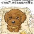 狗狗的一輩子，飼主都該看完