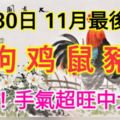 11月30日，11月的最後一天！屬龍、狗、雞、鼠、豬、馬的人必轉！手氣超旺中大獎！