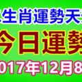 十二生肖運勢天天看，今日運勢：12月8日