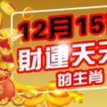 12月15後，財運天天來的生肖