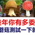 這些年你有多委屈，選個蘑菇測試一下就知道