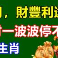 八月，財豐利達，橫財一波波停不下的3個生肖