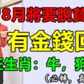 8月將要脫貧致富，努力有金錢回報的3大生肖