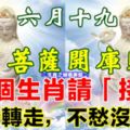 農曆六月十九觀音誕，菩薩賜福，這8個生肖請「接喜」88秒轉走，不愁沒錢花！