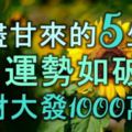 苦盡甘來的5生肖，9月運勢如破竹，橫財大發1000萬，狗年要發達！