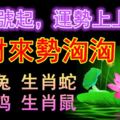 9月3號起，運勢上上吉！錢財來勢洶洶，人生大方光彩的生肖