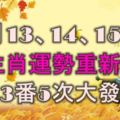 11月13、14、15號內，5生肖屆時運勢重新洗牌，3番5次大發橫財！