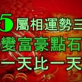 家有5屬相，運勢三級跳，窮人變富豪，點石成金，一天比一天富裕！