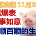 11月28號起財神爺庇佑，財運爆表，萬事如意，一順百順的生肖