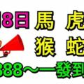 12月8日生肖運勢_馬、虎、兔大吉