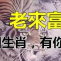 老來富的5個生肖，30歲行大運，50歲晚來福