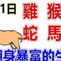 1月31日生肖運勢_雞、猴、鼠大吉