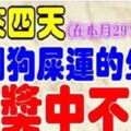 29，30，31號踩到狗屎運，大獎中不停的生肖，月底最有好運