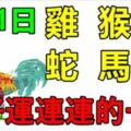 4月1日生肖運勢_雞、猴、鼠大吉