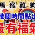 屬【蛇馬猴雞狗豬】的人，這幾個時間點出生最有福氣