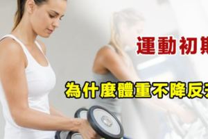 運動減肥初期，體重不降反升？原因是這樣