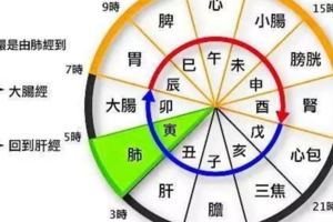 騙倒了億萬人的「人體排毒時間表」，你上當了嗎？