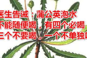 醫生告誡：蒲公英泡水不能隨便喝，有四個必喝，三個不要喝，一個不單獨喝！