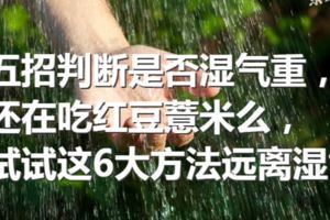 五招判斷是否濕氣重，還在吃紅豆薏米麼，試試這6大方法遠離濕氣