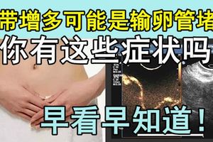 你有這些症狀嗎？白帶增多可能是輸卵管堵塞，早看早知道！