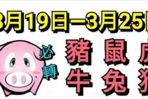 十二生肖每週運勢播報（3月19日—3月25日）