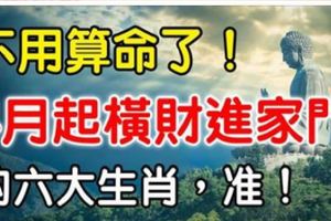 不用算命了！4月起橫財進家門的六大生肖，准！