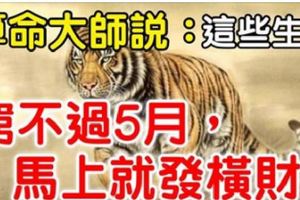 算命大師說：這些生肖窮不過5月，馬上就發橫財！