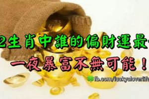 12生肖中誰的偏財運最好，一夜暴富不無可能！